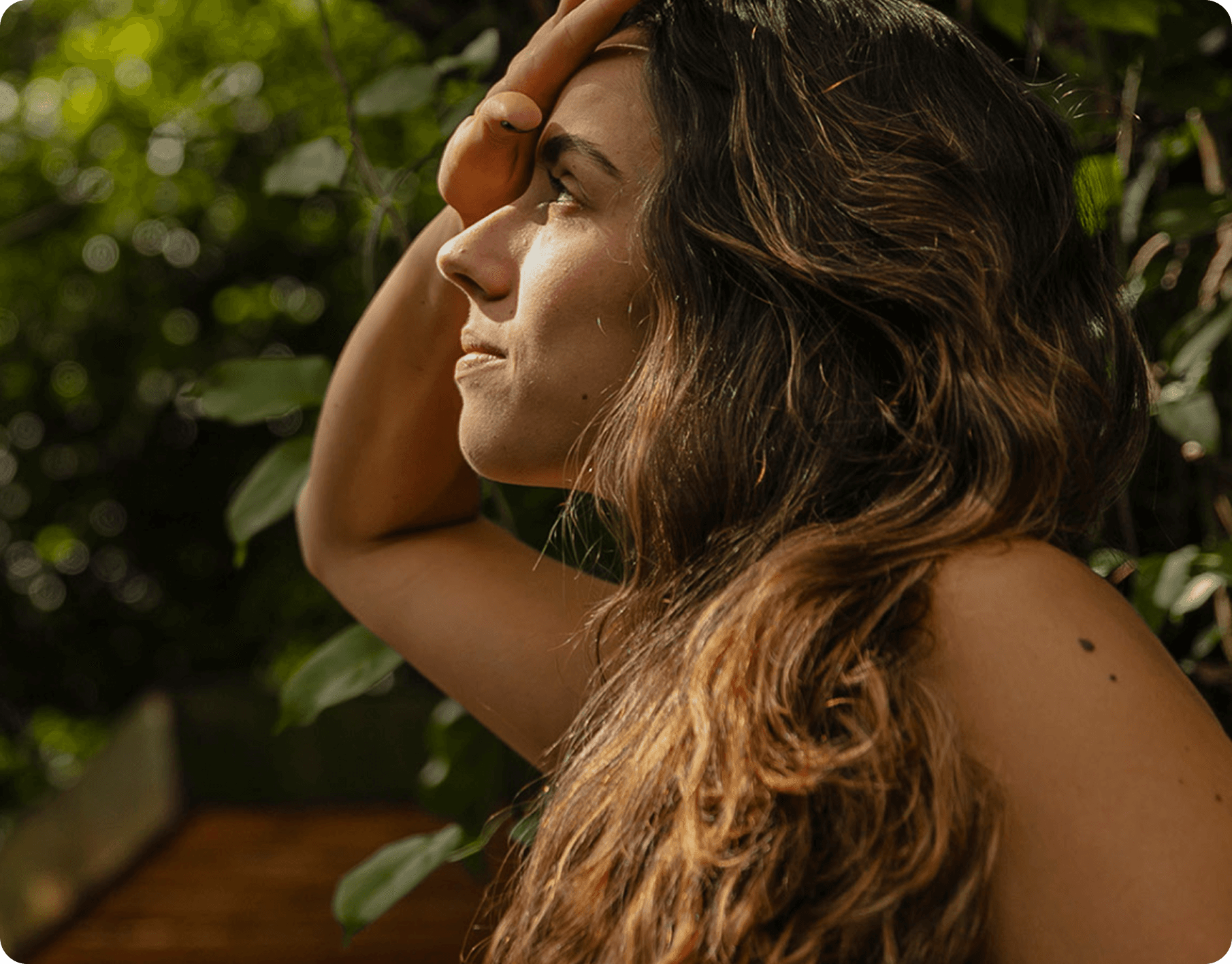 Flor de Íris detail 1