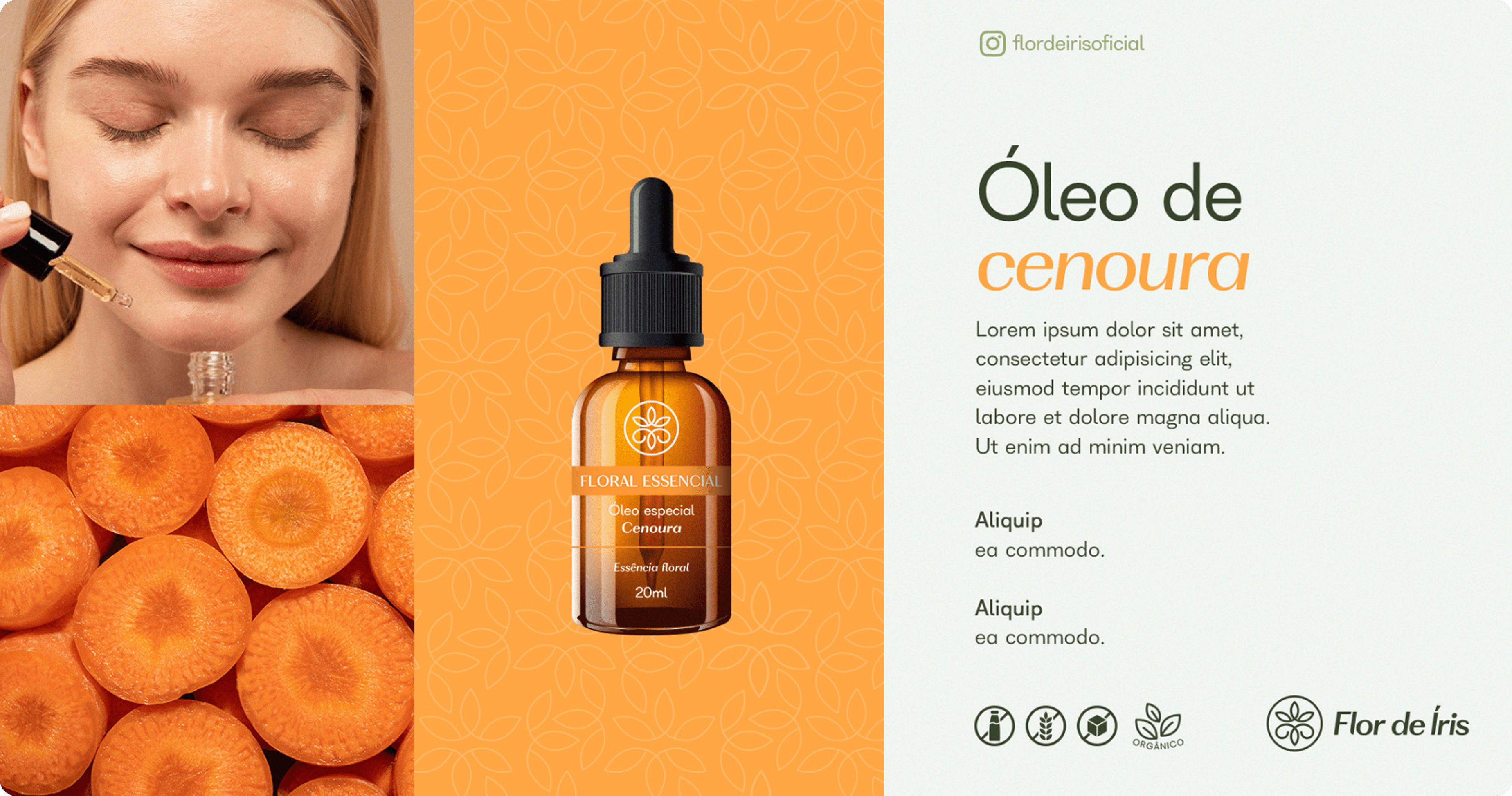 Flor de Íris gallery 1