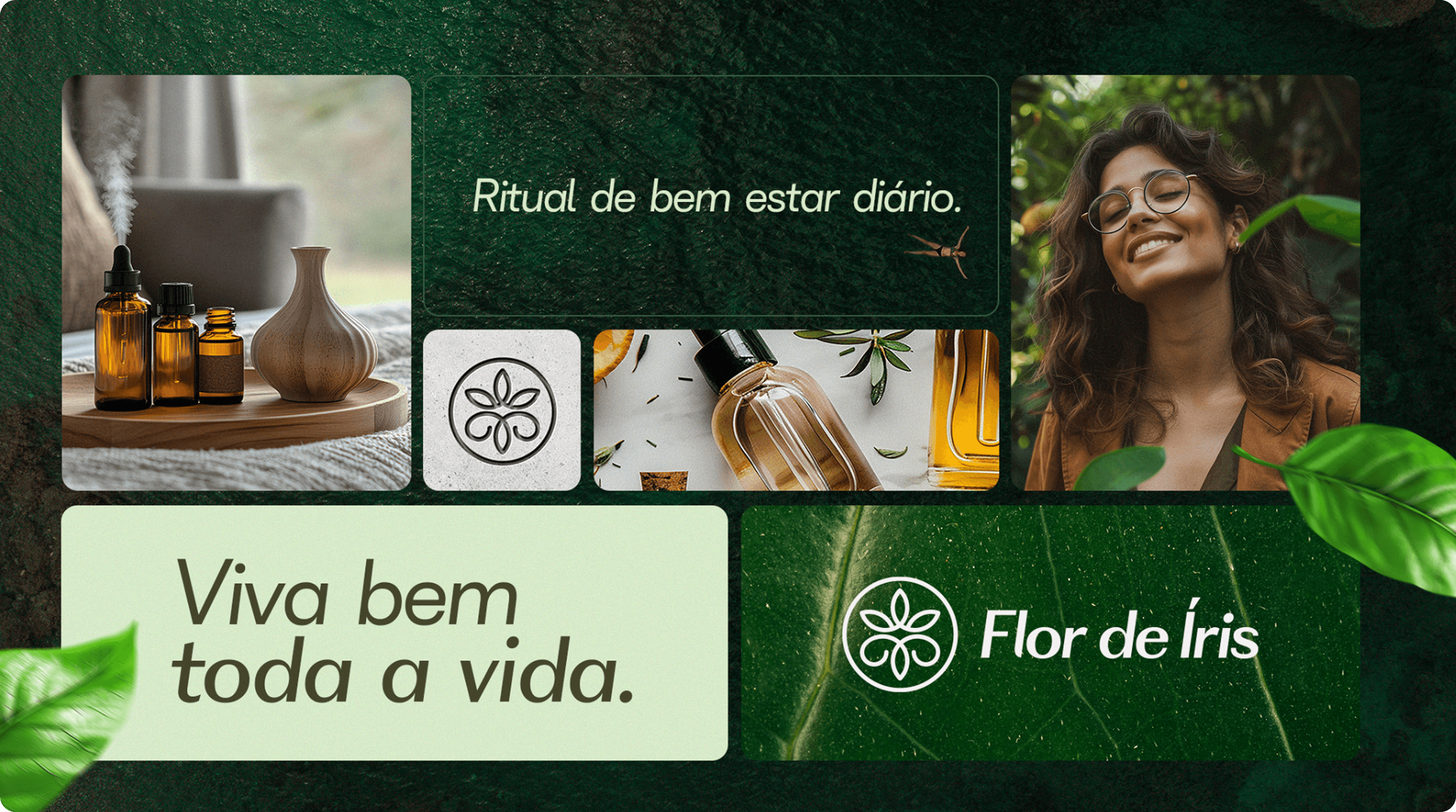 Flor de Íris gallery 2